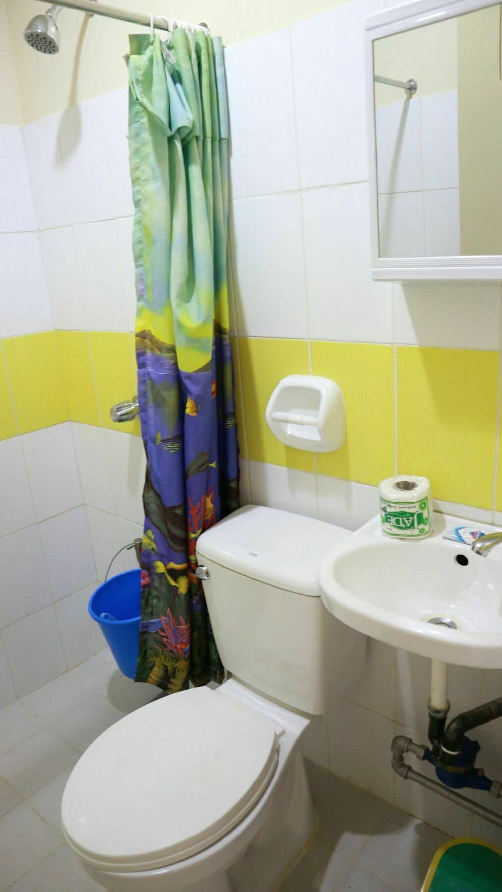 C Tower Studio Apartments Puerto Princesa Exteriör bild